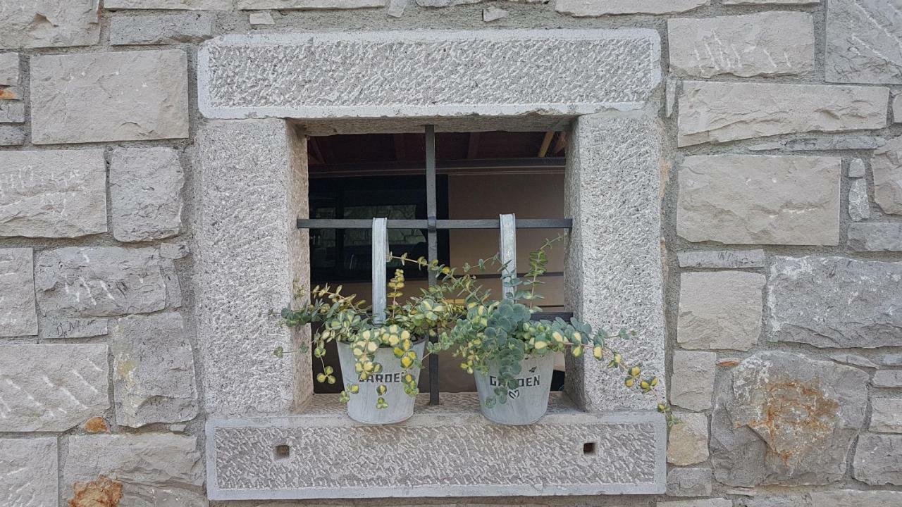 Guesthouse Pri Mihelovih Сезана Экстерьер фото