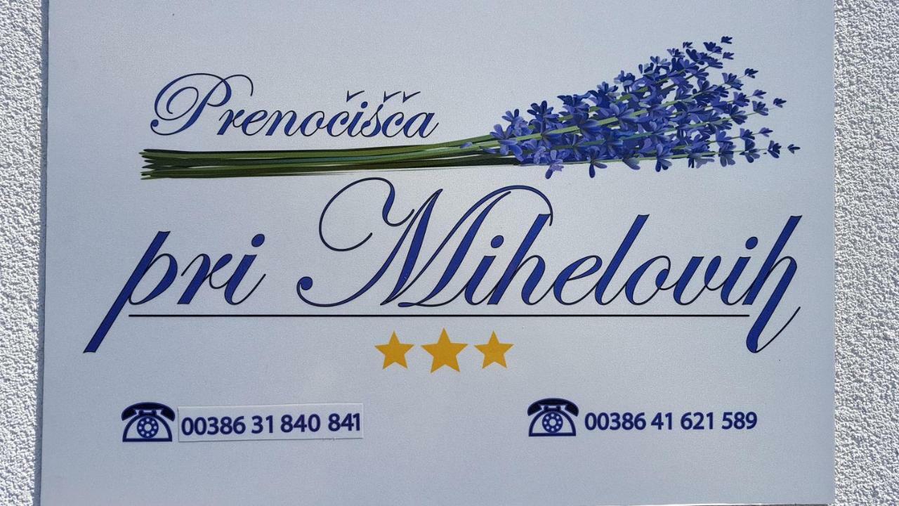 Guesthouse Pri Mihelovih Сезана Экстерьер фото